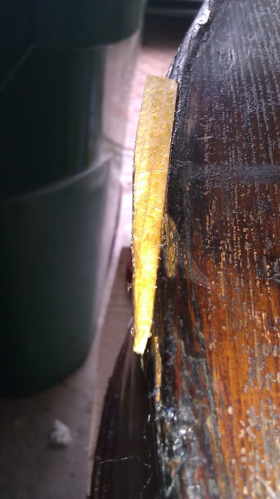 IMAG0101.jpg