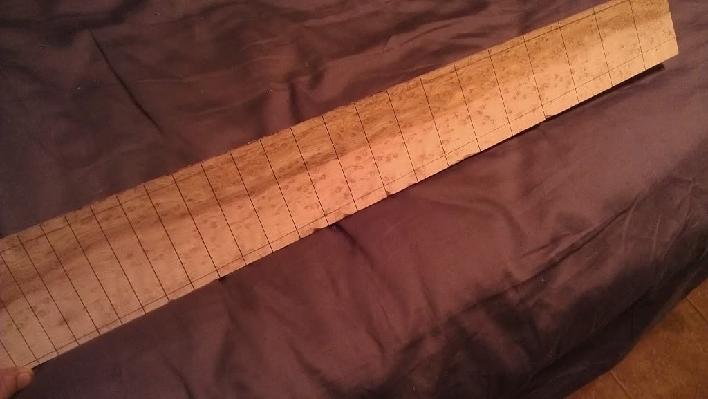 IMAG0103.jpg