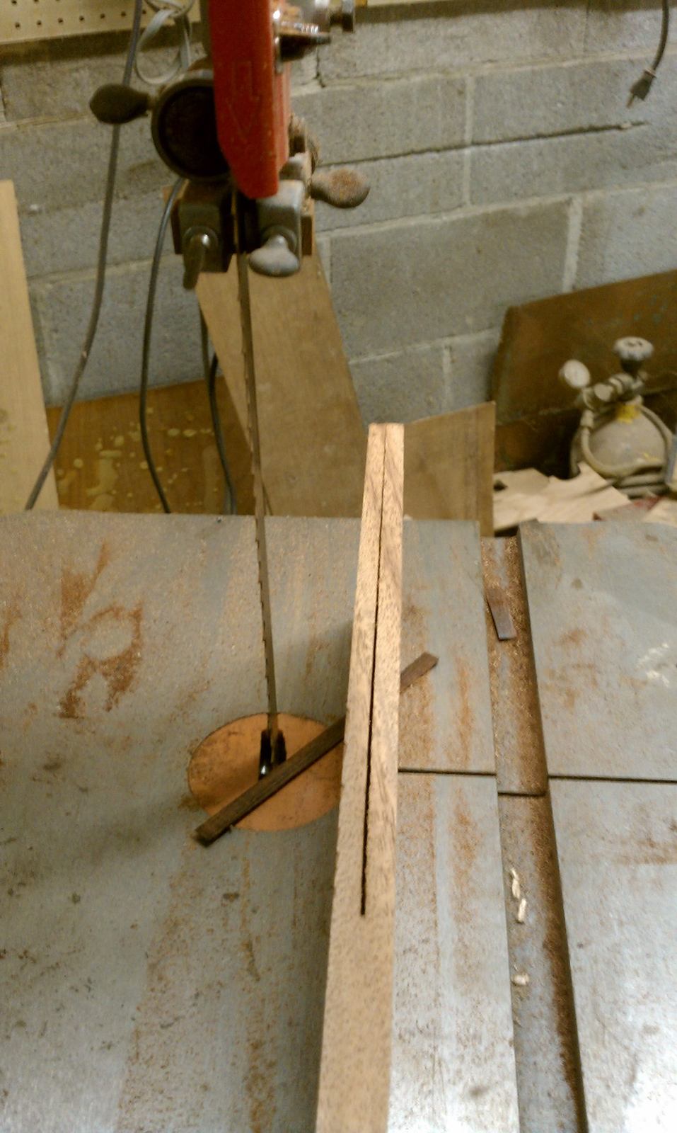 IMAG0113.jpg