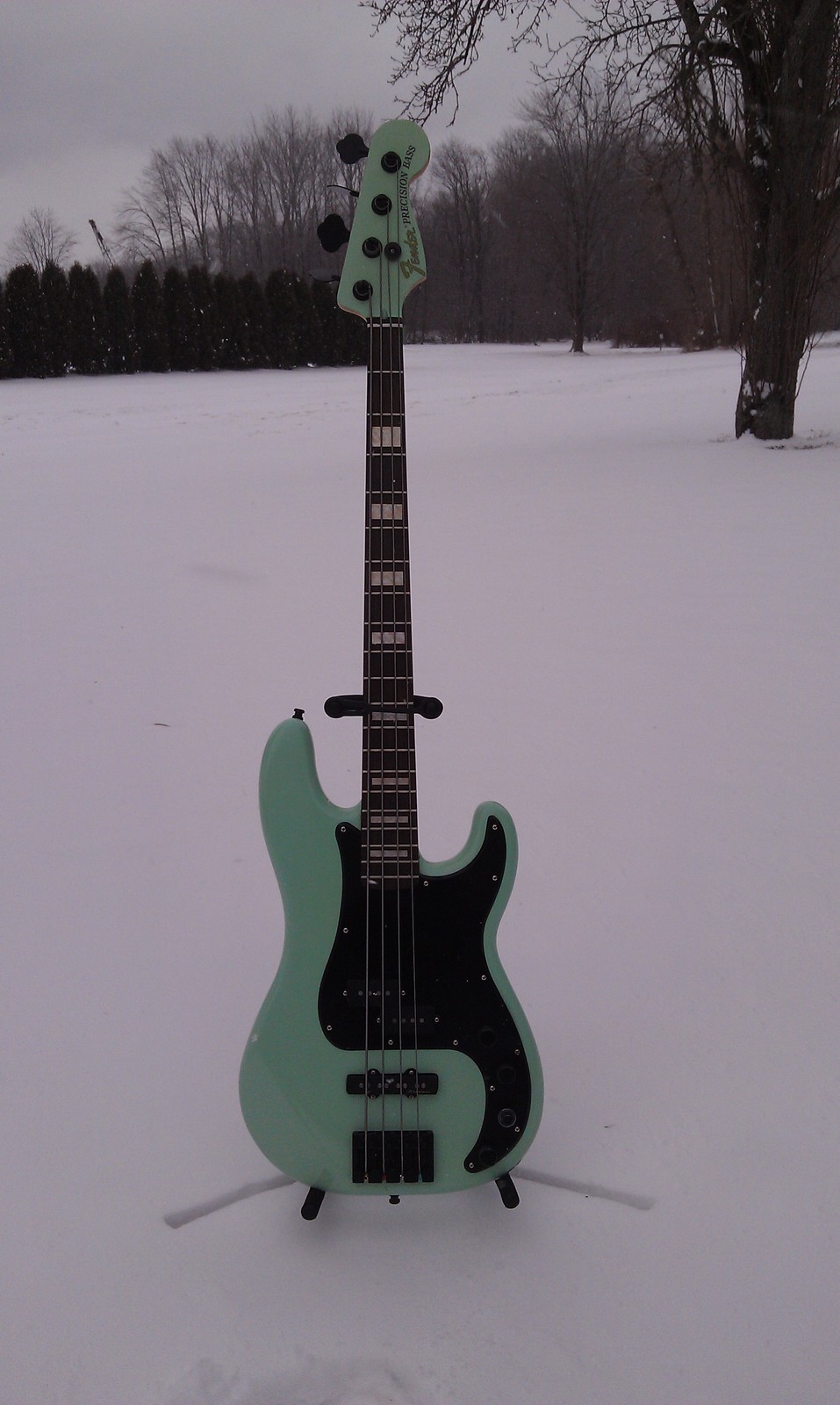 IMAG0117_zps1cee2440.jpg