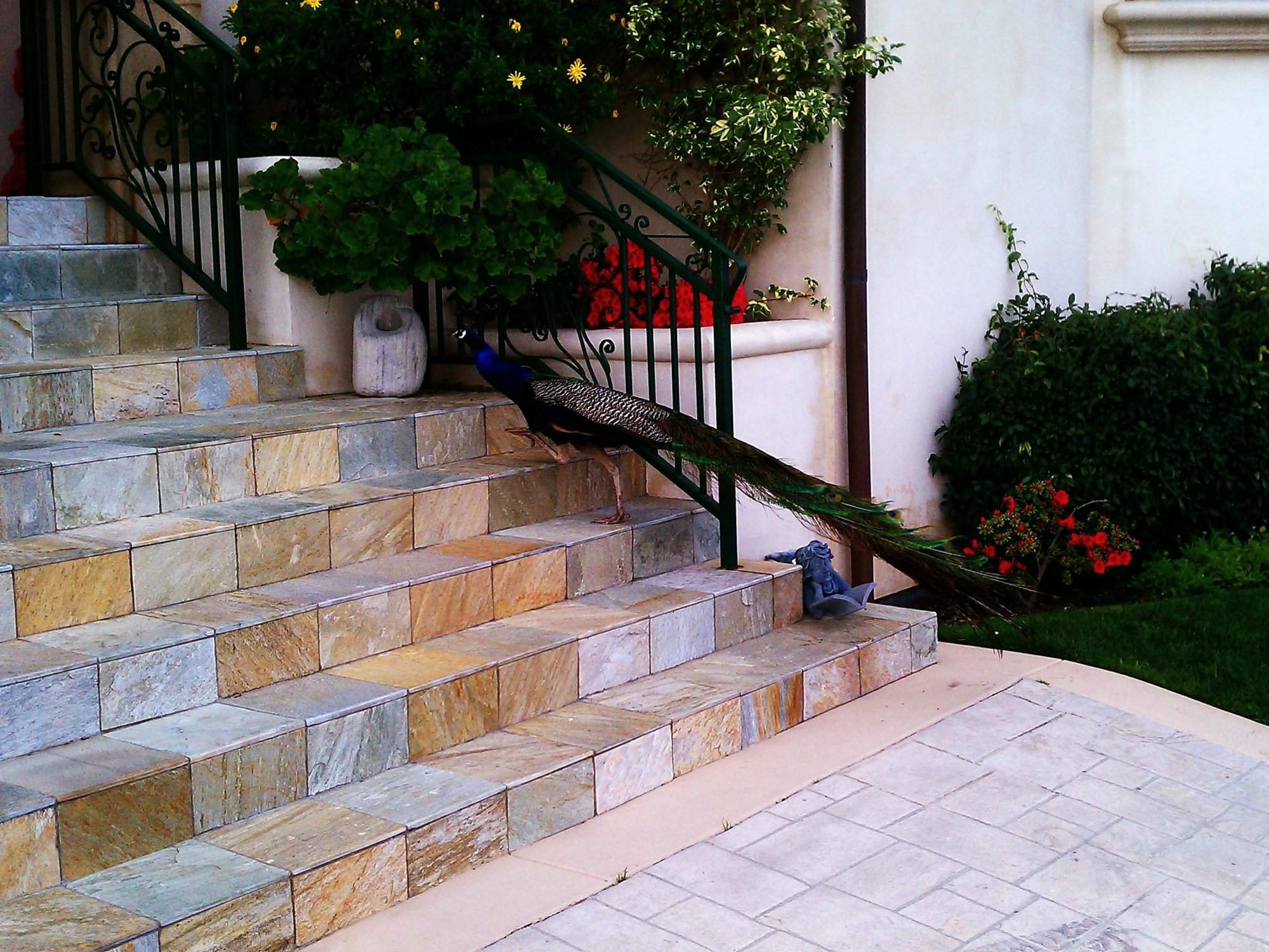 IMAG0124.jpg