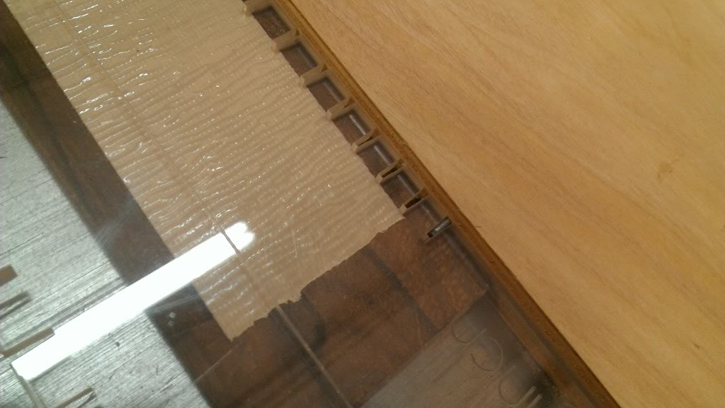 IMAG0139.jpg