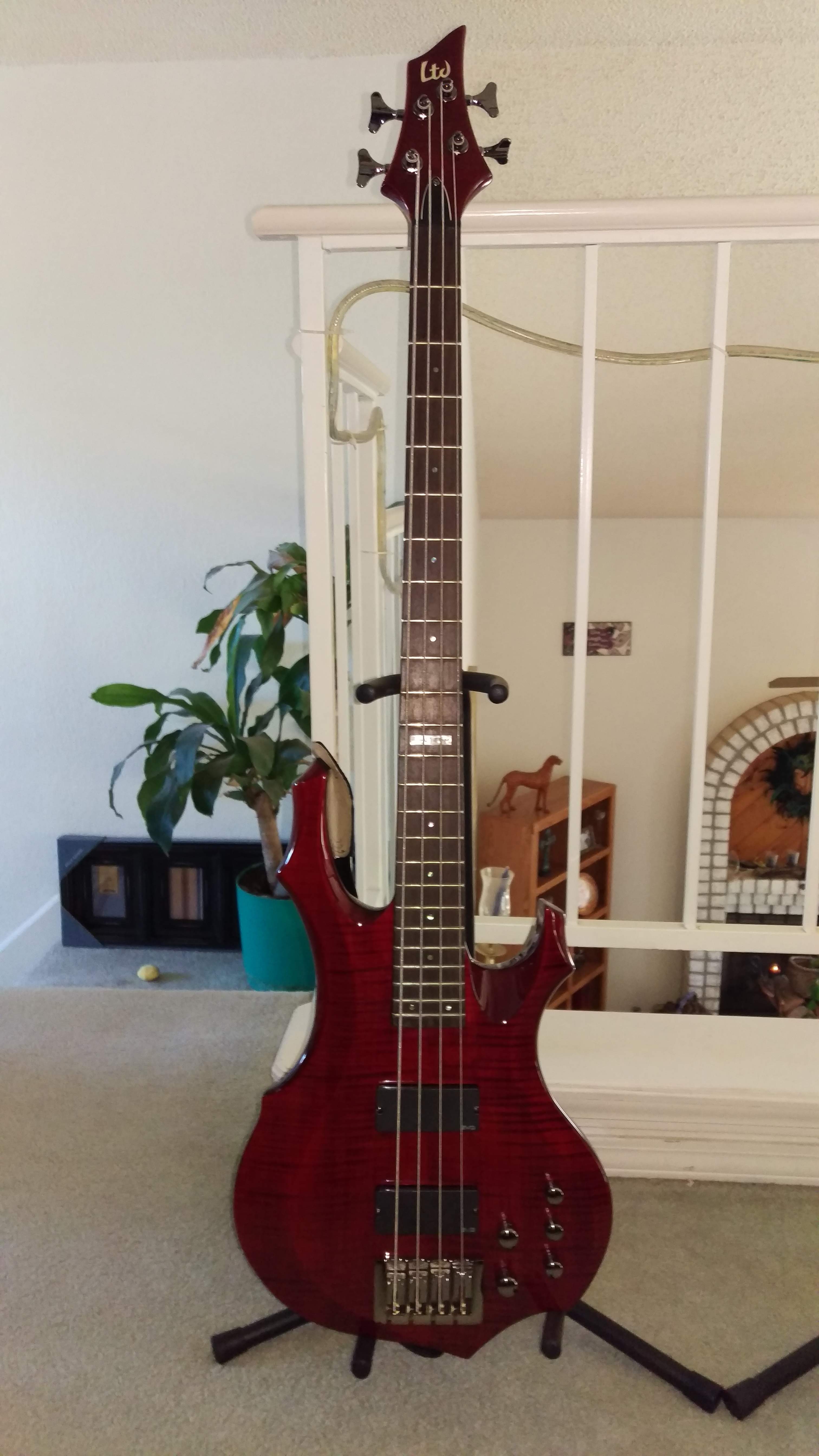 IMAG0151.jpg