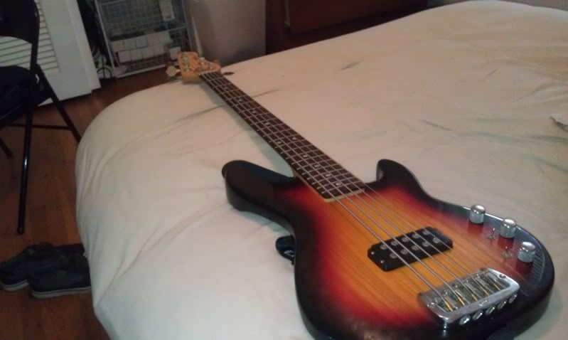 IMAG0217.jpg
