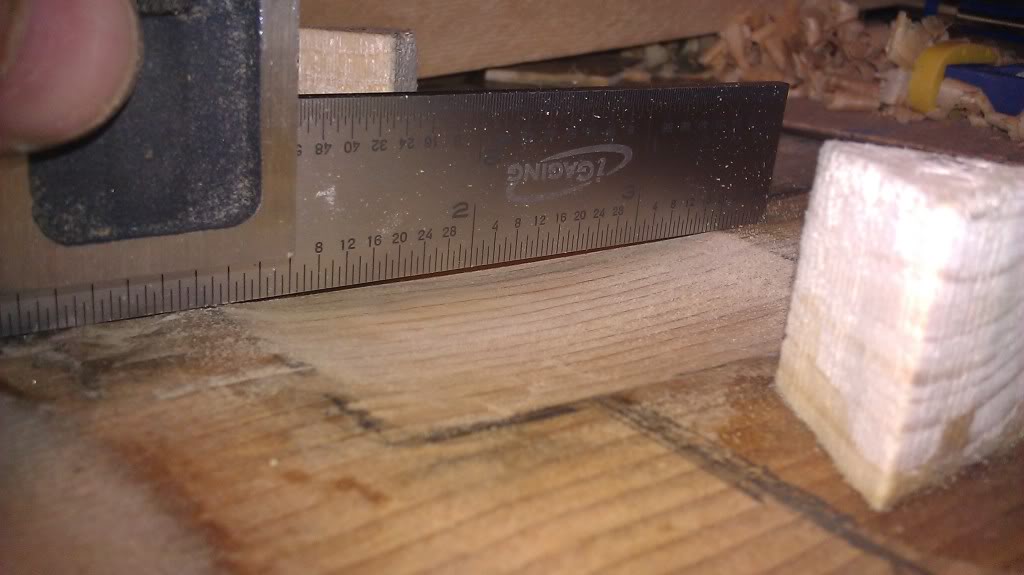 IMAG0229.jpg