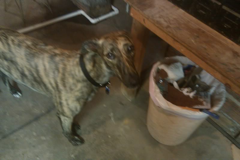 IMAG0234.jpg