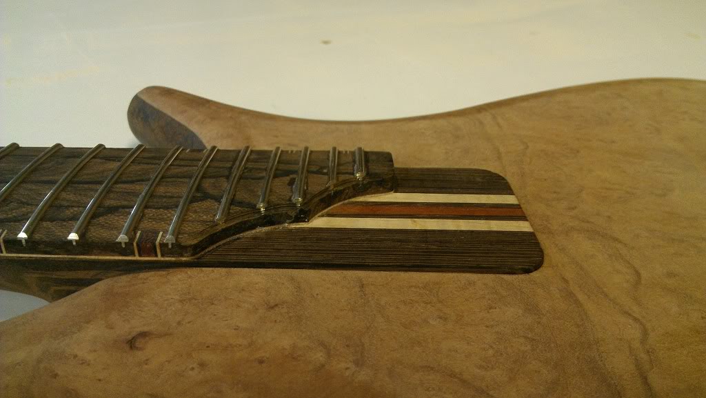IMAG0244.jpg