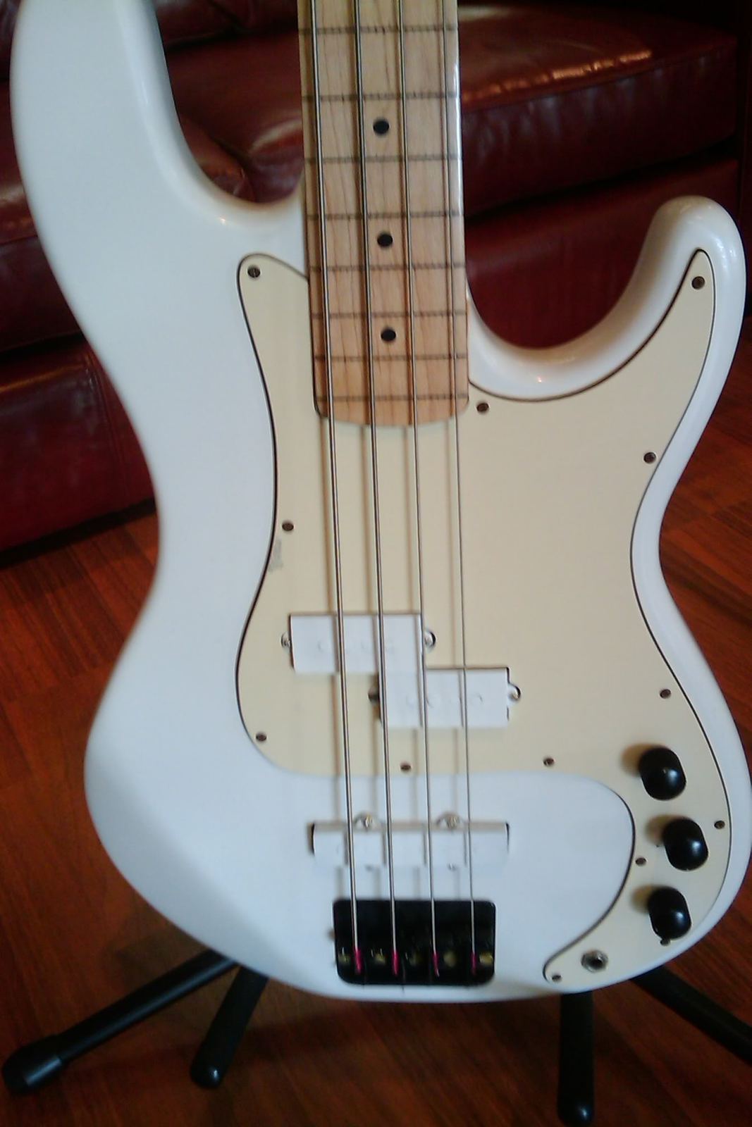 IMAG0247.jpg