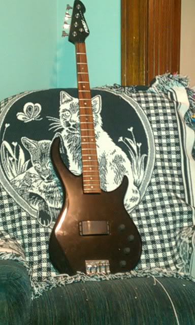 IMAG0262.jpg