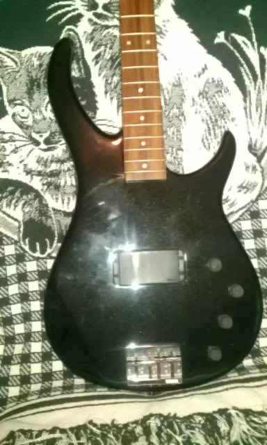 IMAG0263.jpg