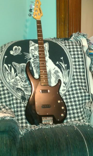 IMAG0264.jpg