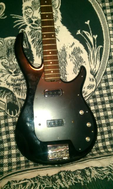 IMAG0266.jpg