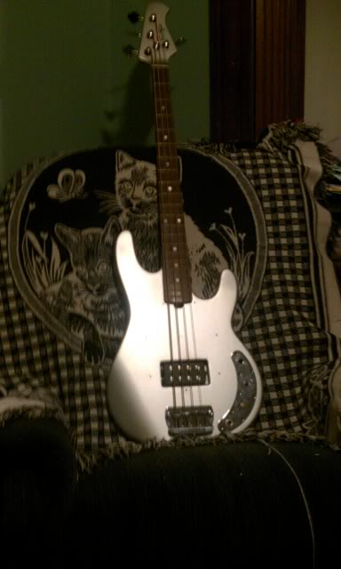 IMAG0267.jpg