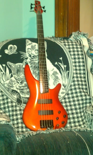 IMAG0269.jpg