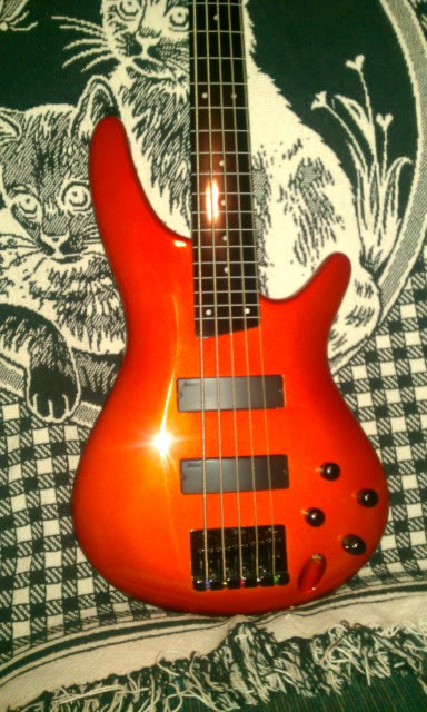IMAG0271.jpg