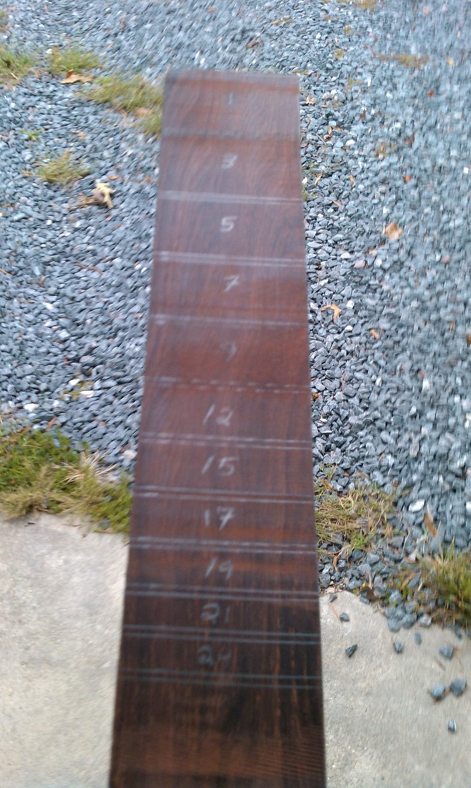 IMAG0286.jpg