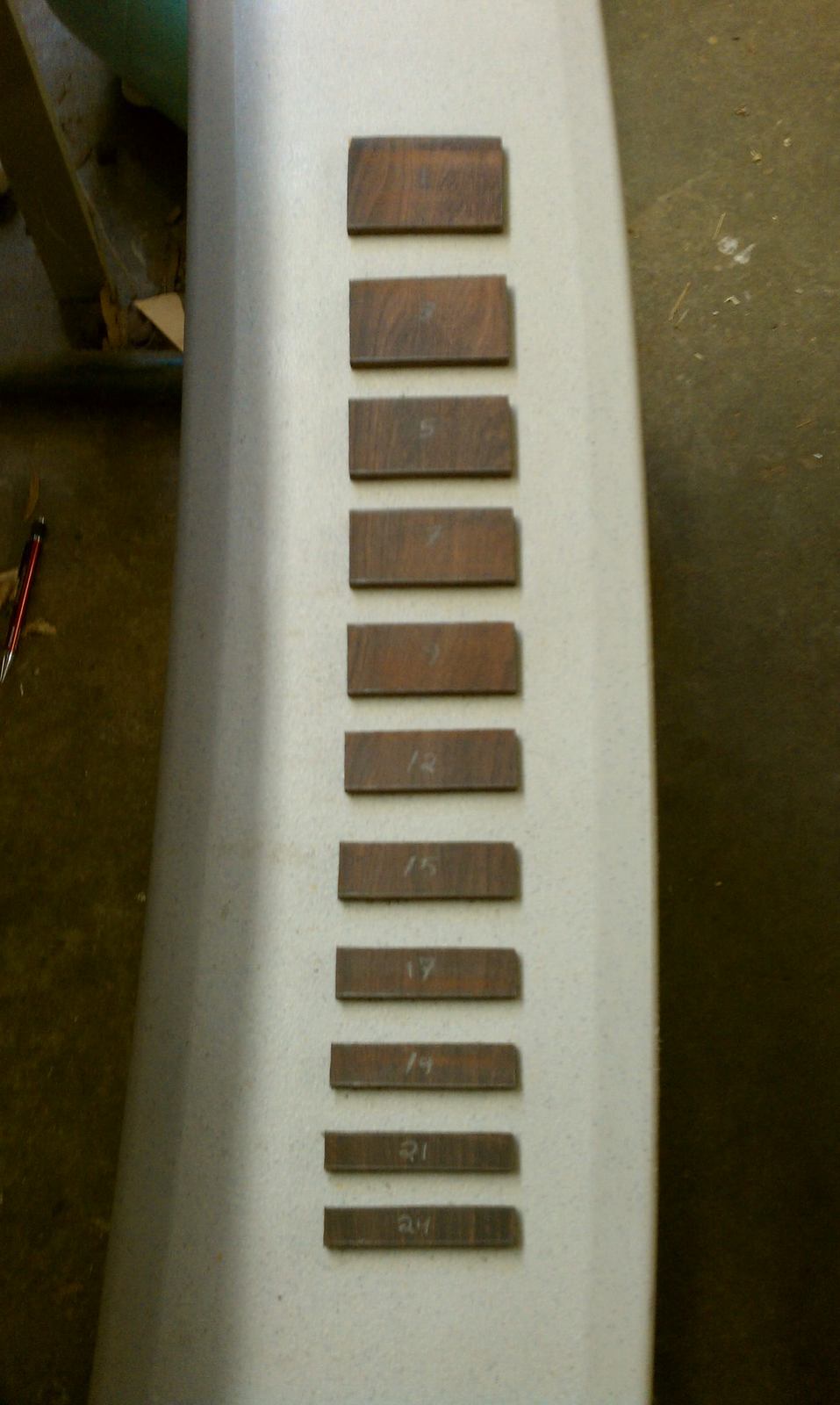 IMAG0287.jpg