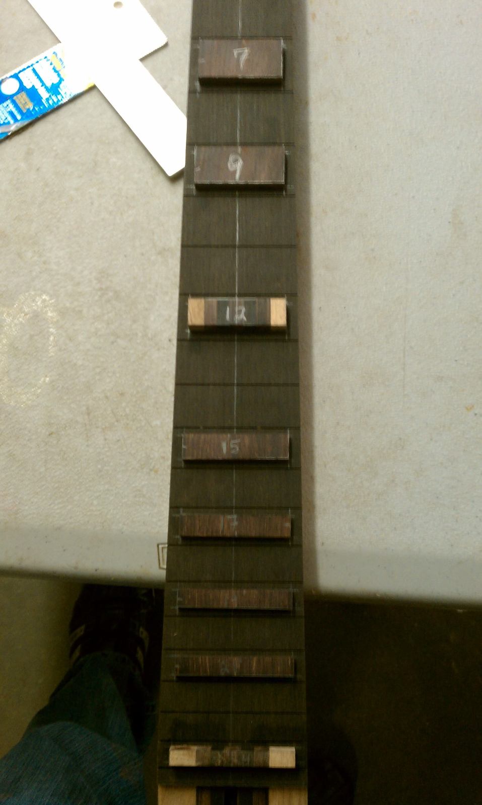 IMAG0302.jpg