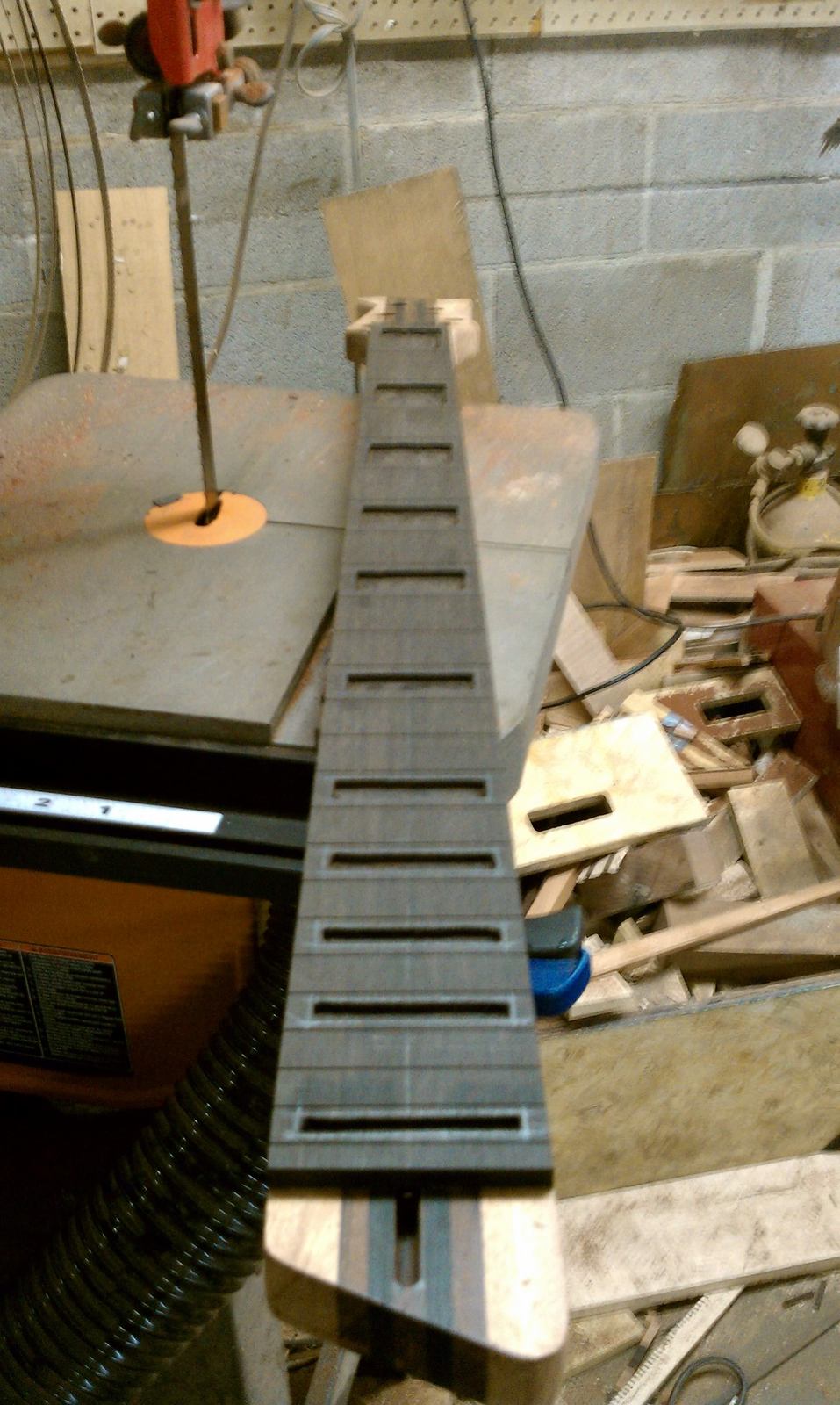 IMAG0308.jpg