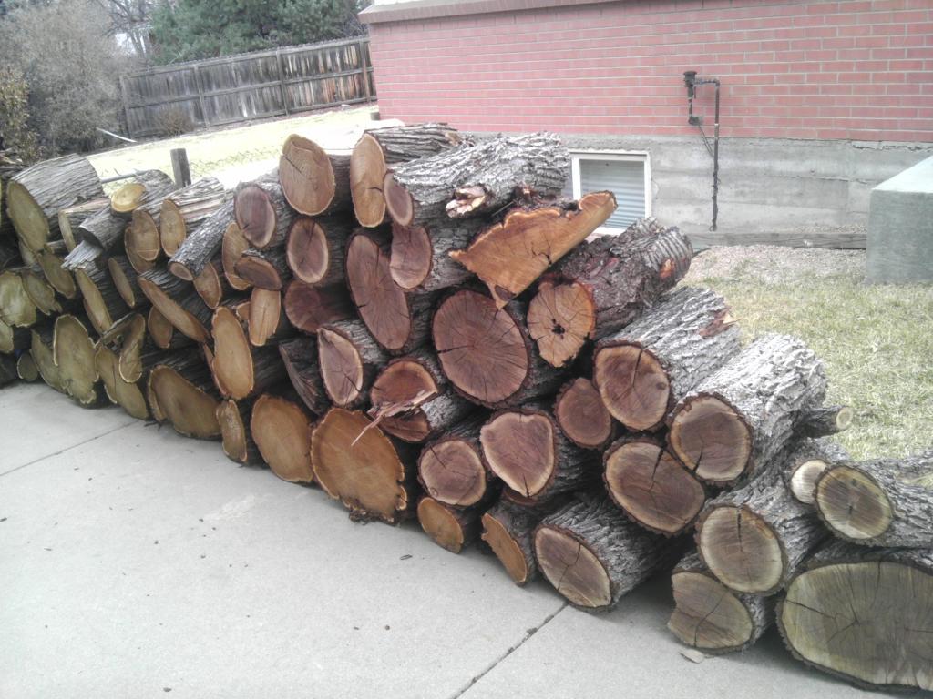 IMAG0318_zpspwsfxiqk.jpg