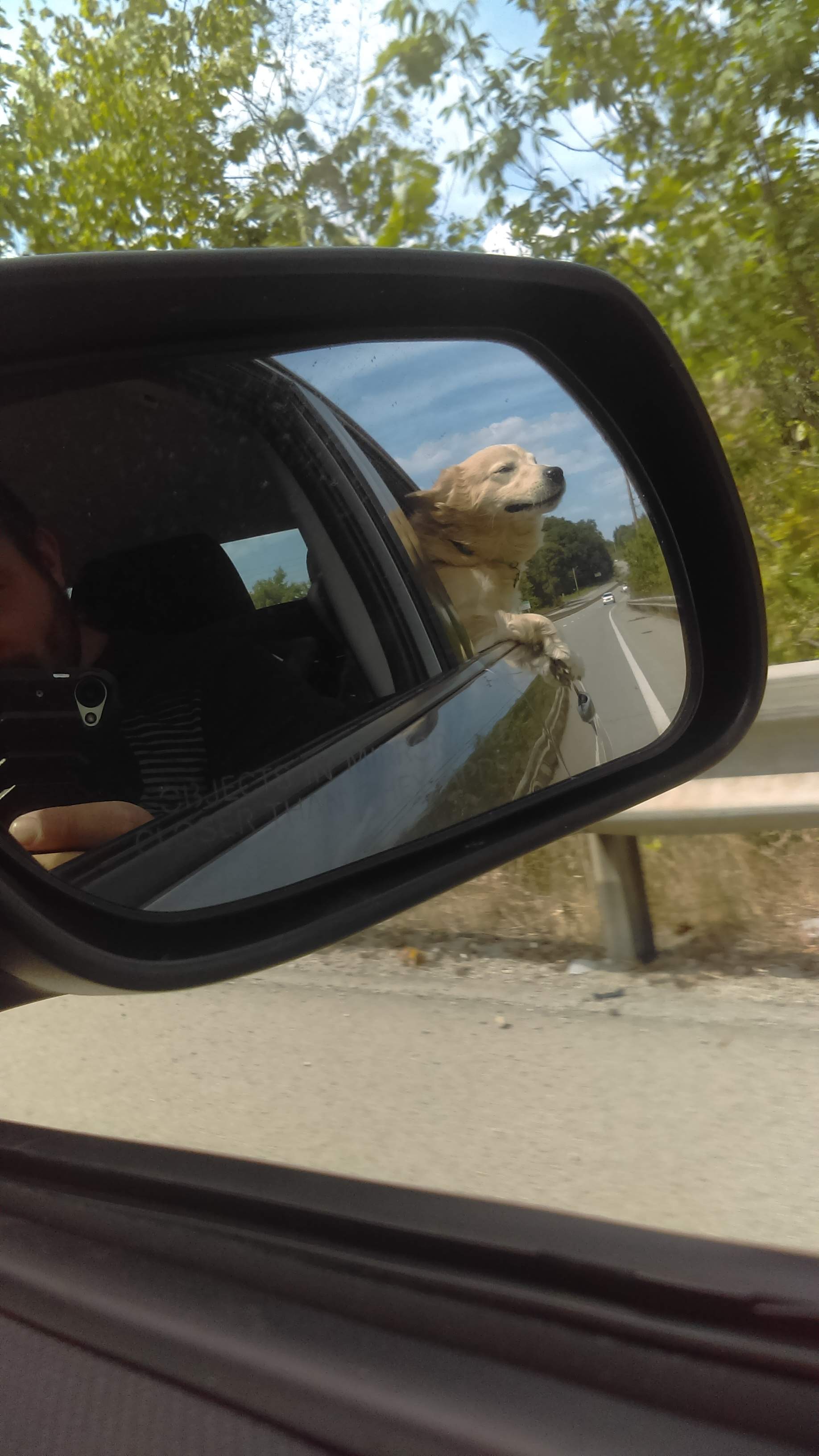IMAG0320.jpg