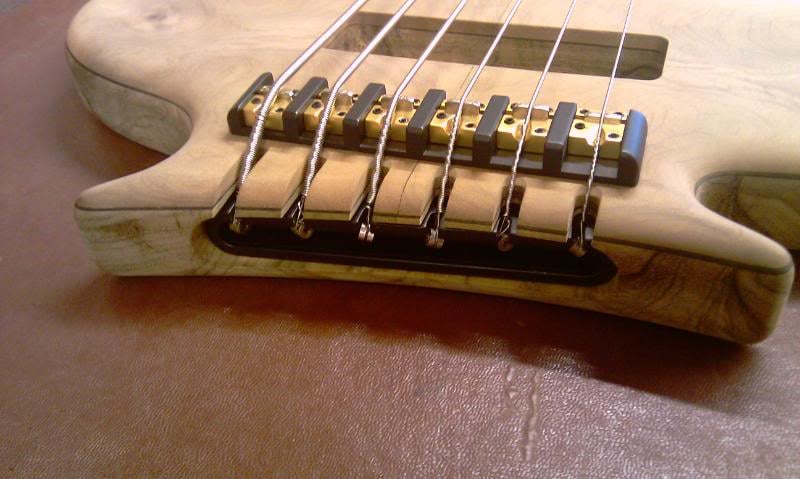 IMAG0324.jpg
