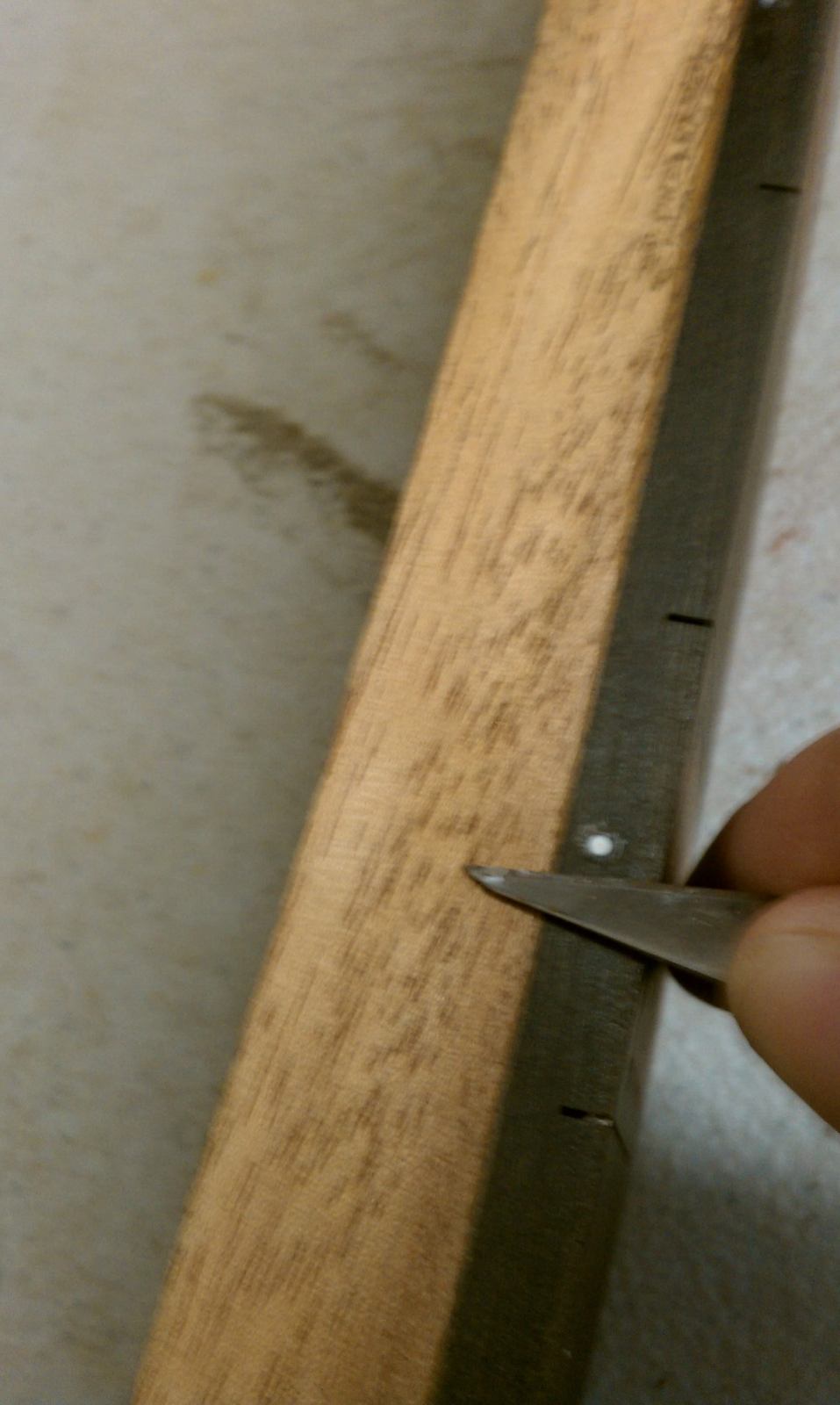 IMAG0328.jpg
