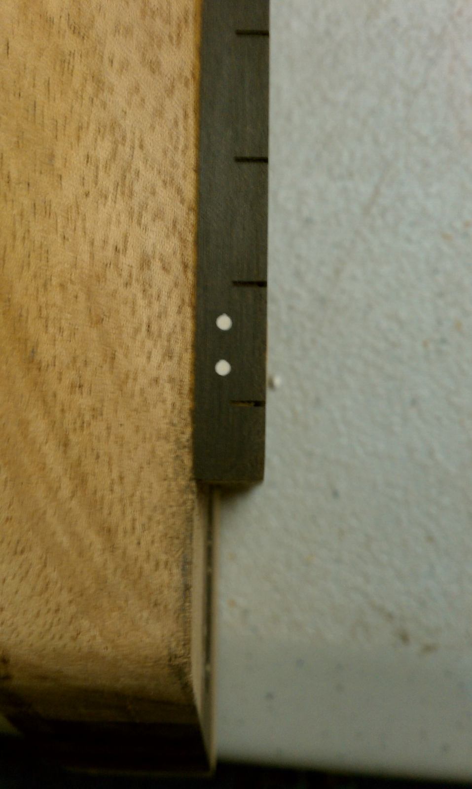IMAG0331.jpg
