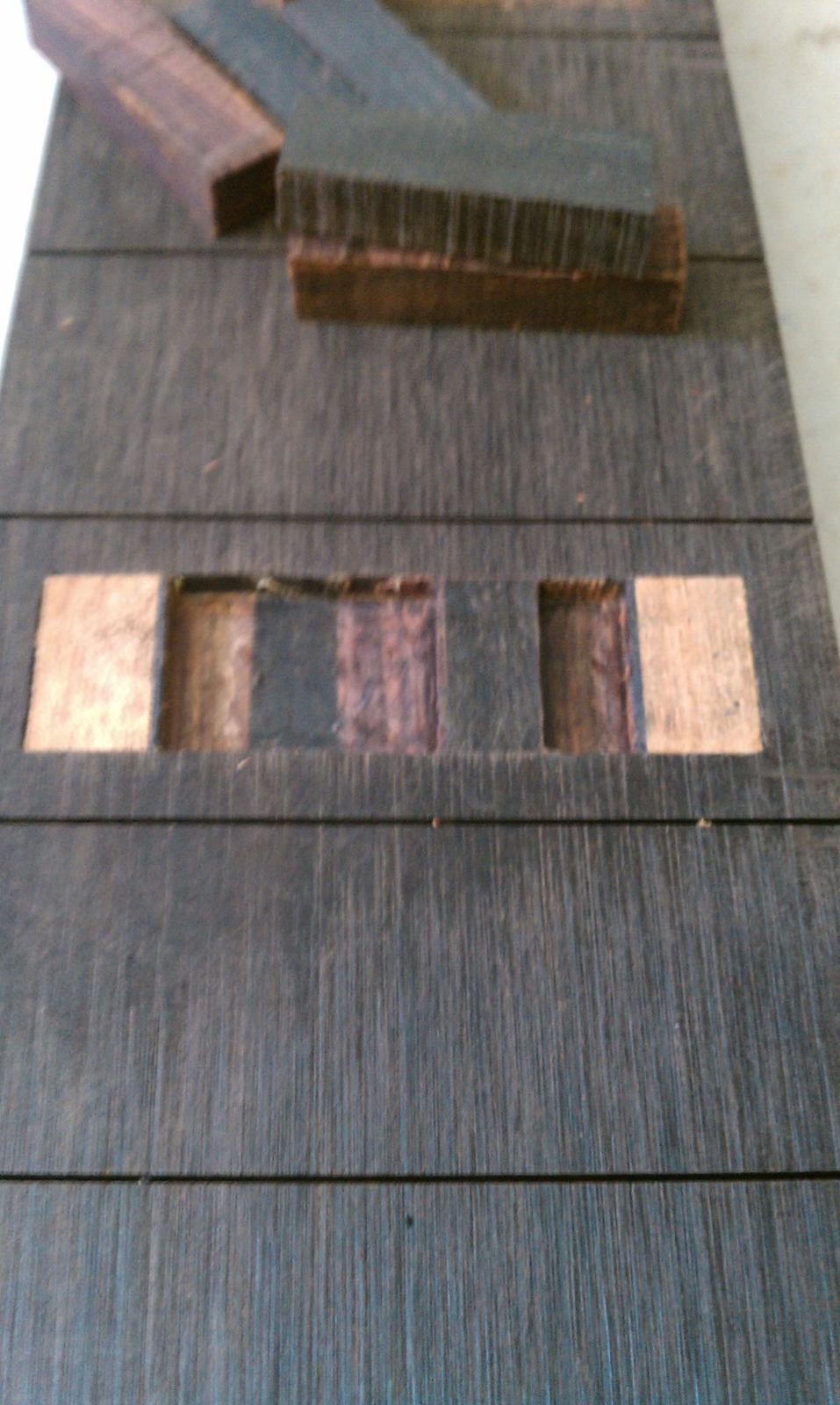 IMAG0335.jpg