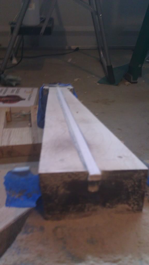 IMAG0383.jpg
