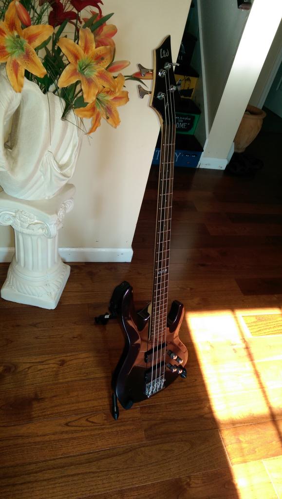 IMAG0451.jpg