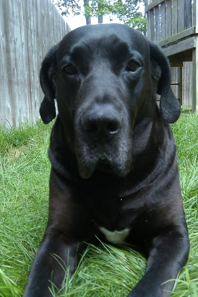 IMAG0470.jpg