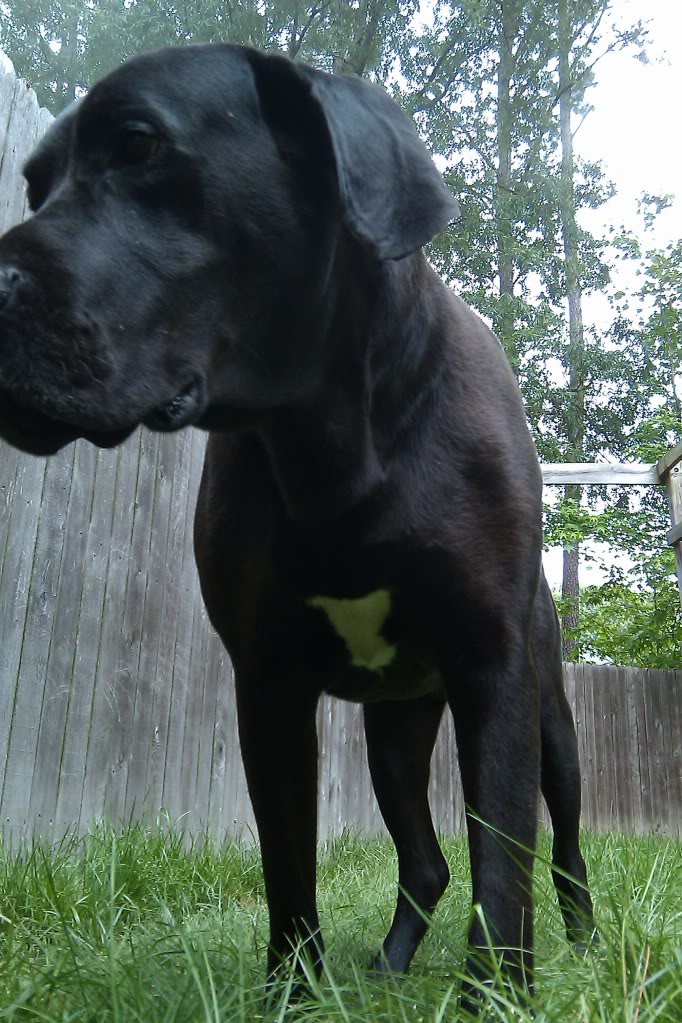 IMAG0472.jpg