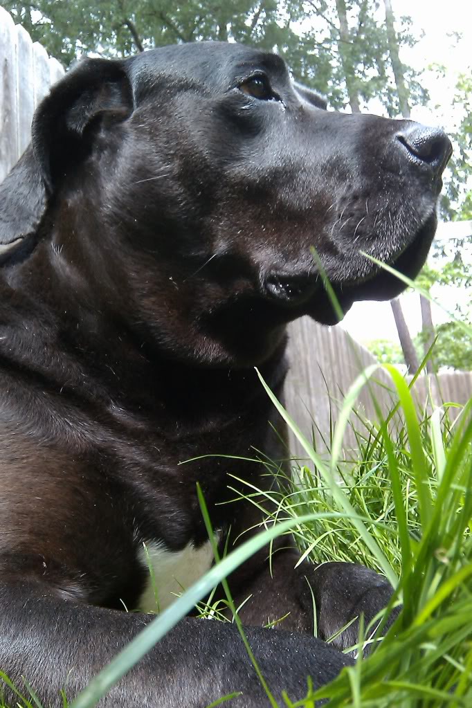 IMAG0477.jpg