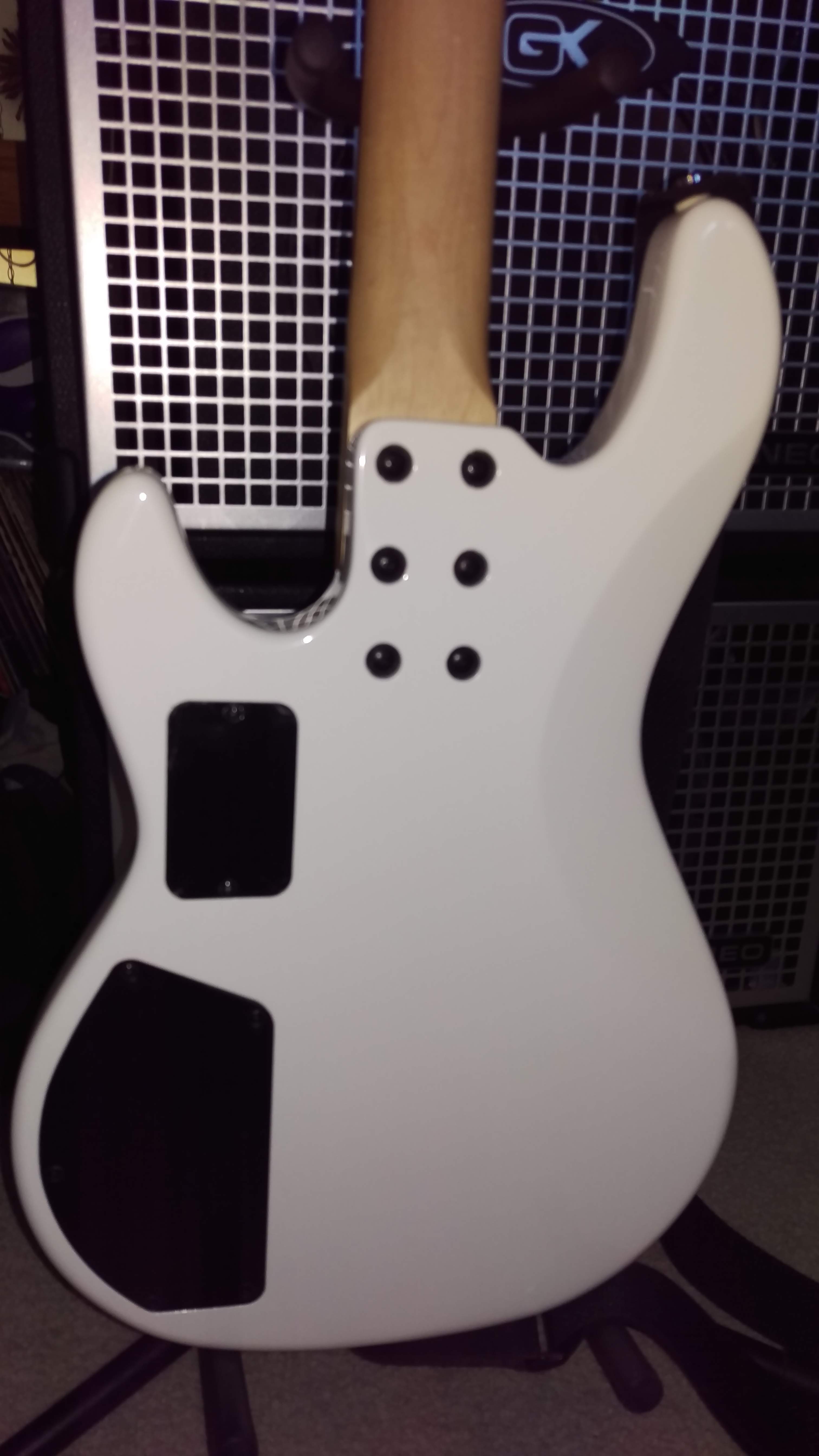 IMAG0498.jpg