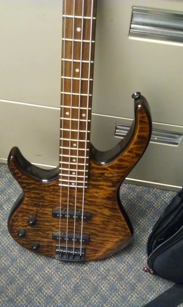 IMAG0558.jpg