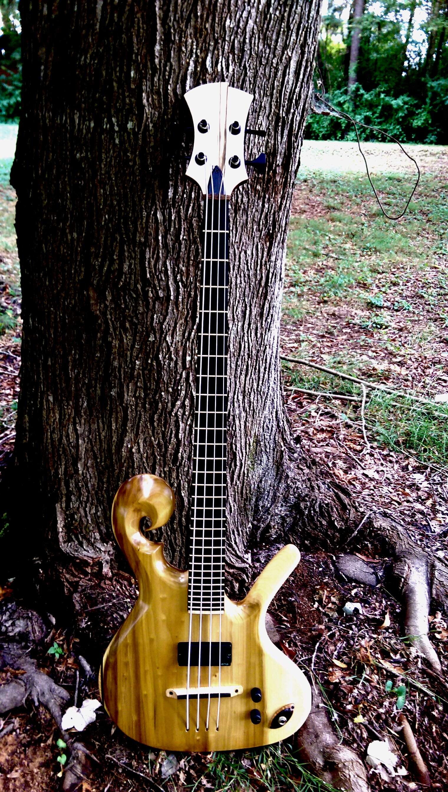 IMAG0575_1.jpg