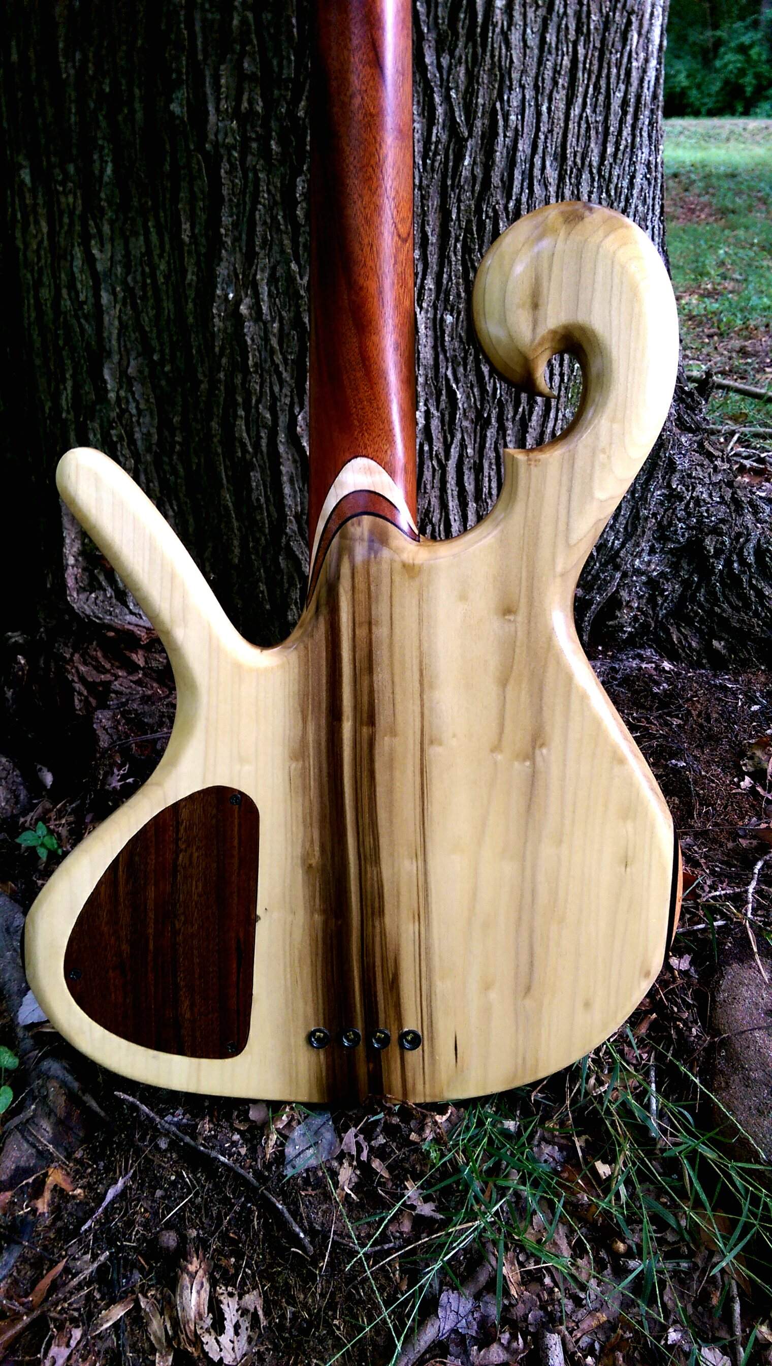 IMAG0581_1.jpg