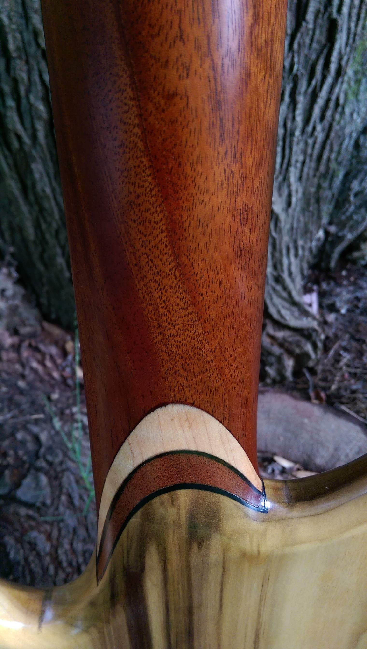 IMAG0582.jpg