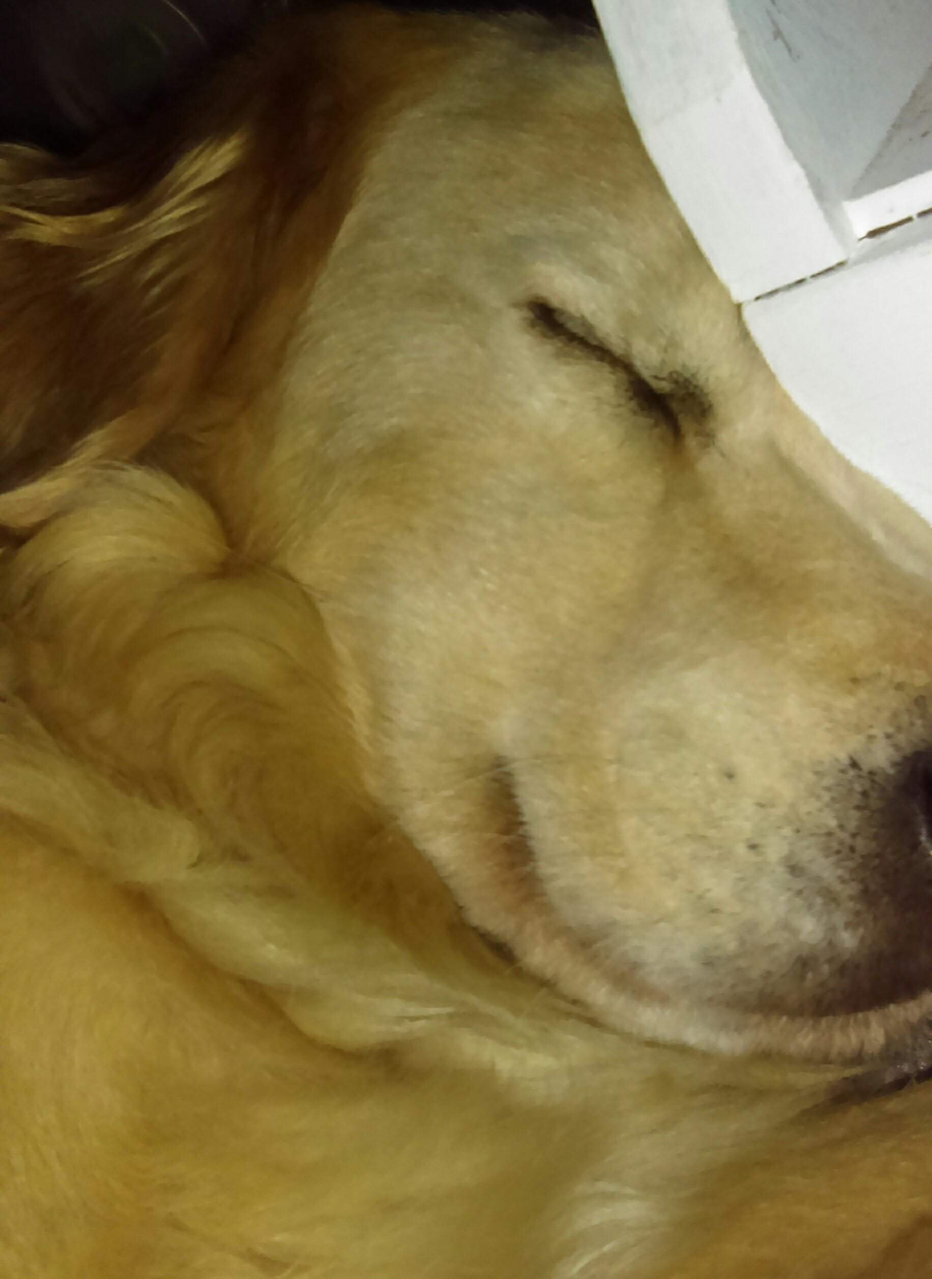 IMAG0613_1.jpg