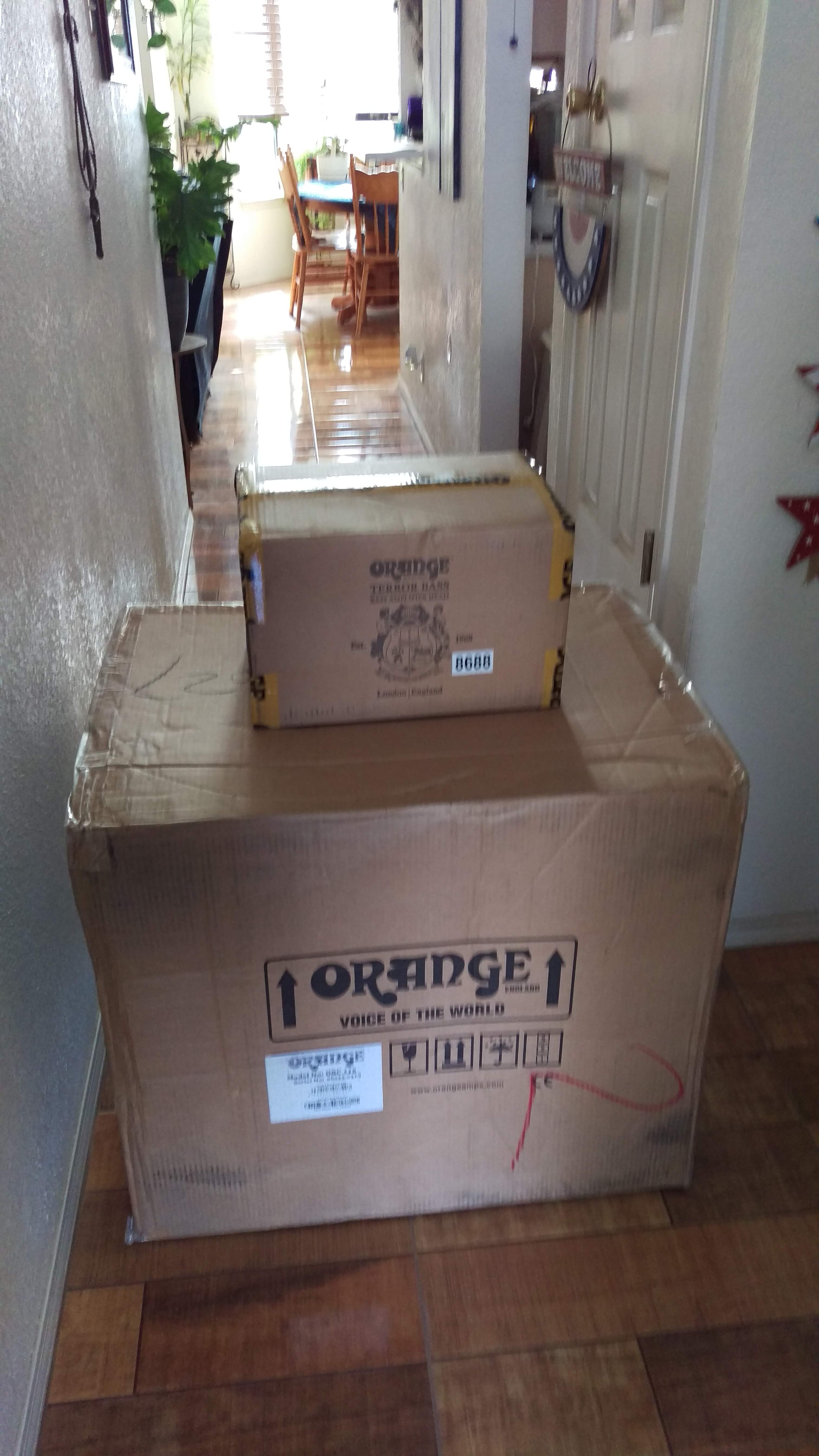IMAG0648.jpg