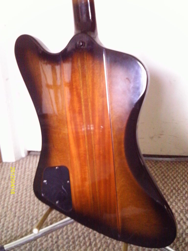 IMAG0677.jpg