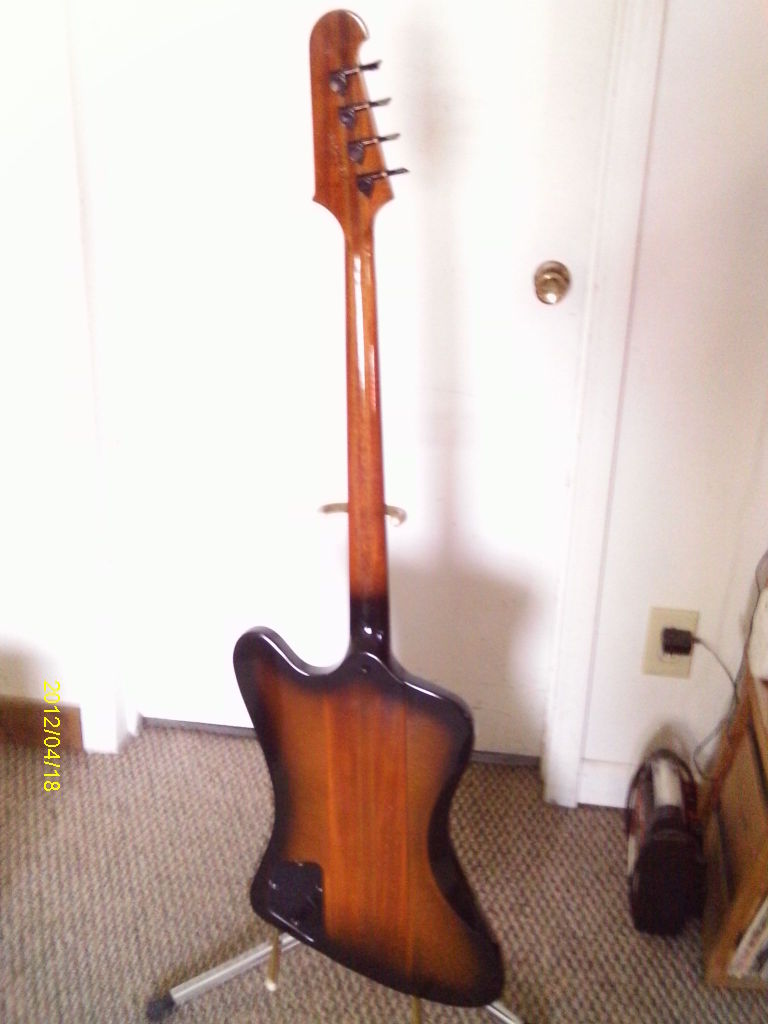 IMAG0681.jpg