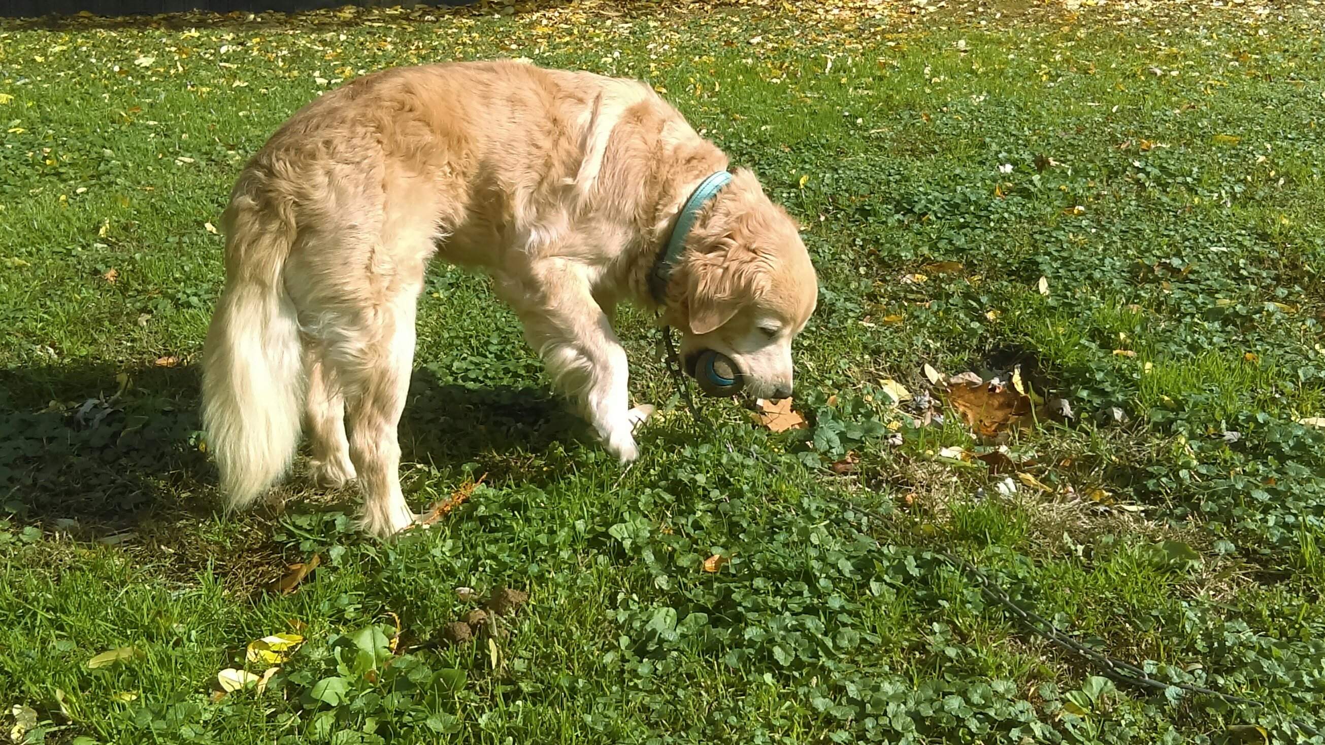 IMAG0768_1.jpg