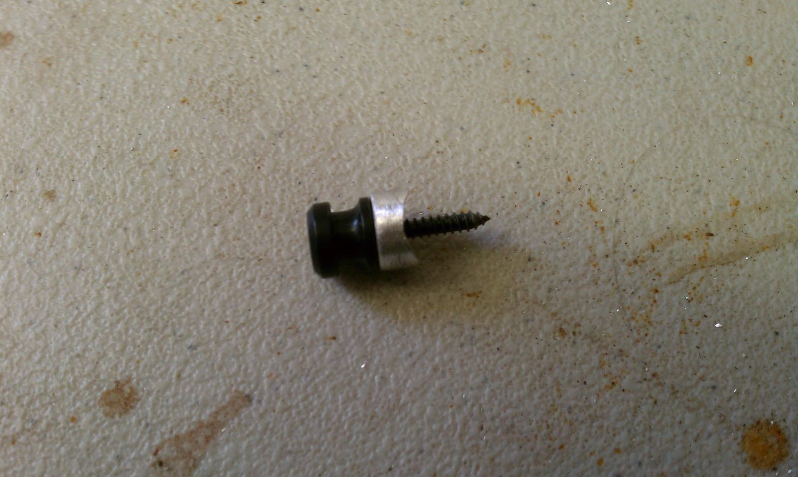 IMAG0800.jpg