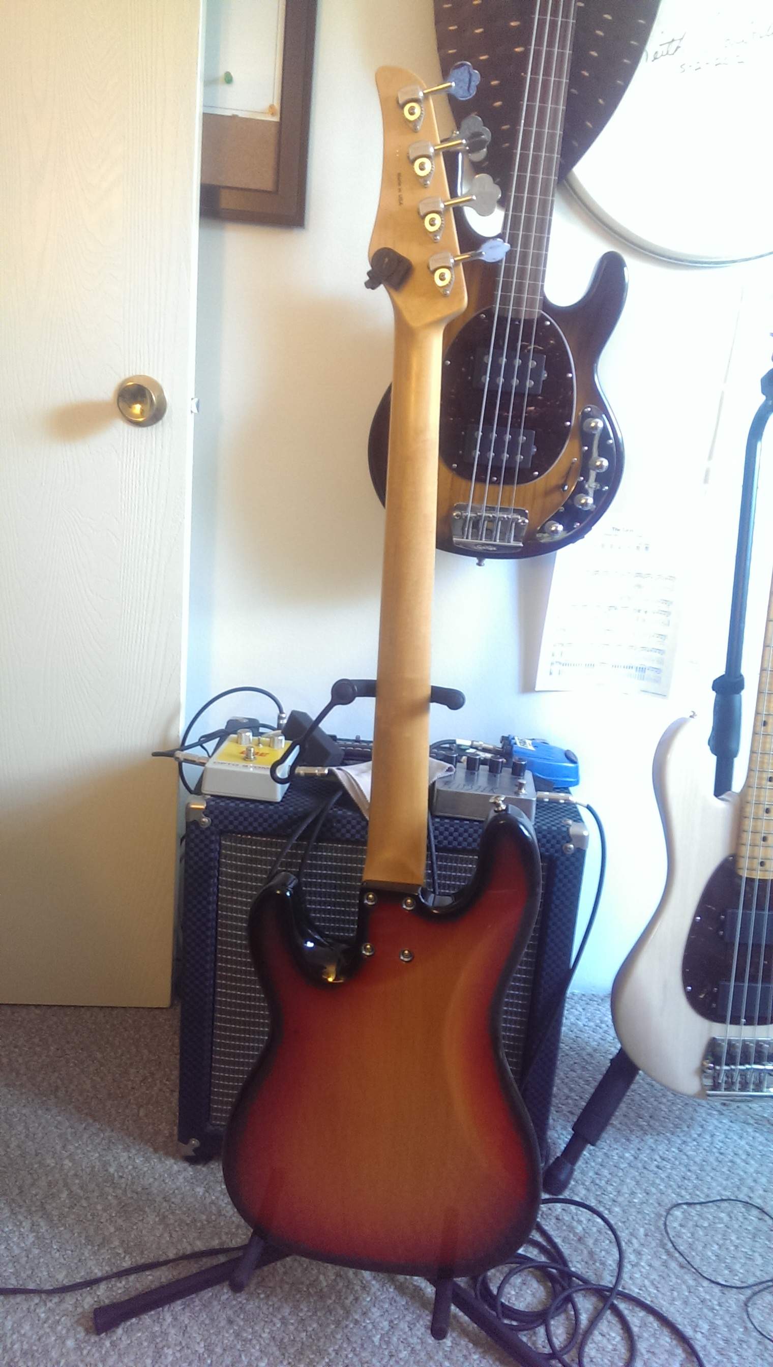 IMAG0956.jpg