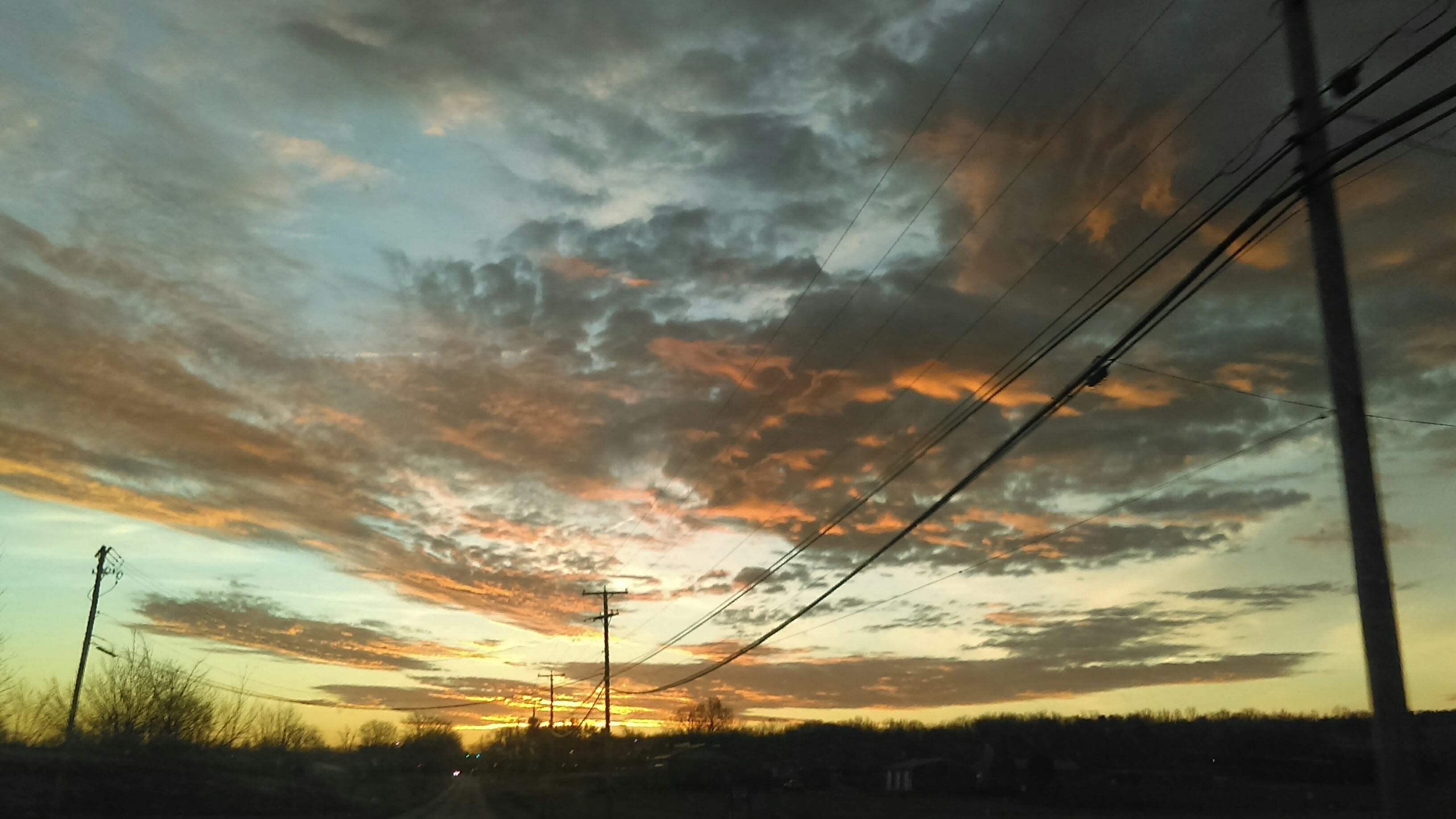 IMAG1157_1.jpg