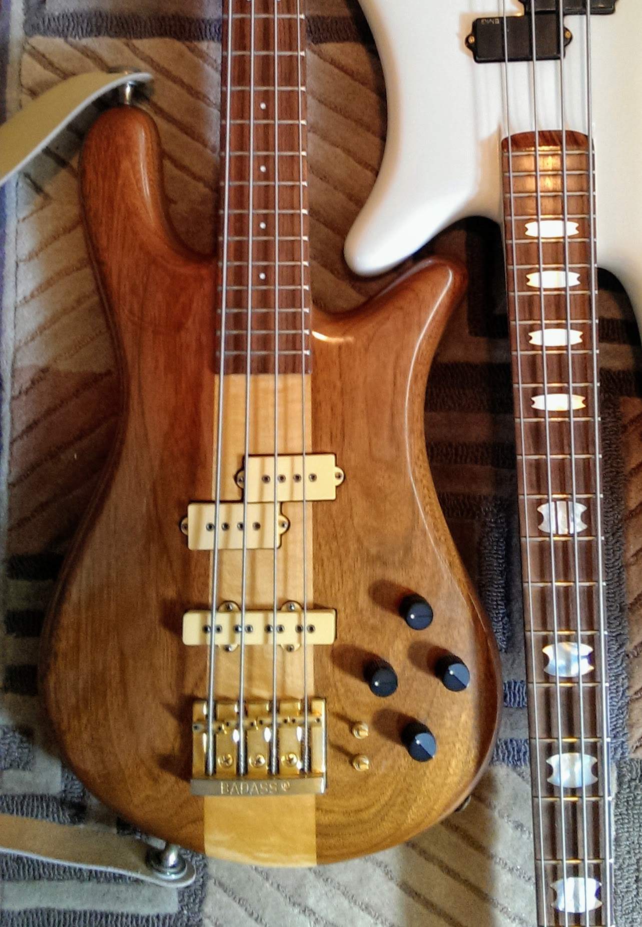 IMAG1305.jpg