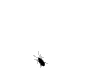 IMAGE$6E672A036083A07E.gif