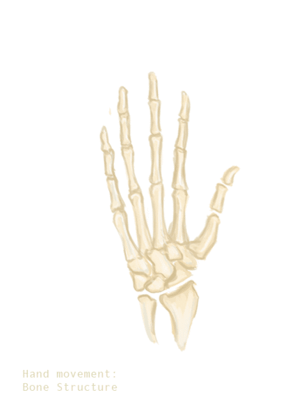 image.gif